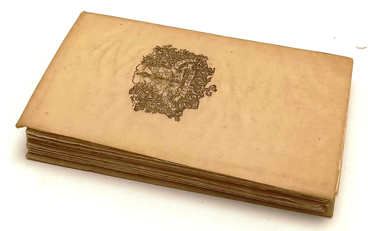 LN- IL VOLO DEL FALCO- ANTONIO SBRISCIA- FORMIGGINI- POETI ITALIANI- 1928- B-XFS