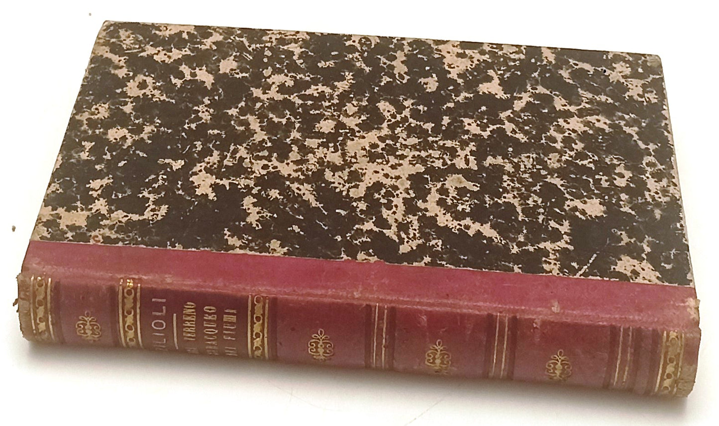 LH- DIRITTO SUBACQUEO DEI FIUMI- GAETANO ZIOLIOLI- FIACCADORI--- 1873- C- XFS96