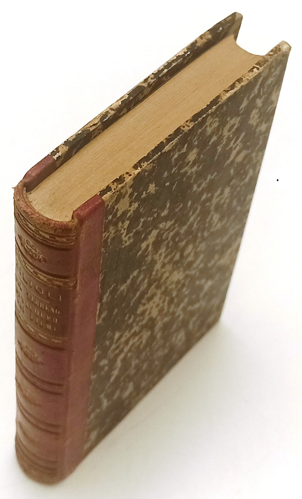 LH- DIRITTO SUBACQUEO DEI FIUMI- GAETANO ZIOLIOLI- FIACCADORI--- 1873- C- XFS96