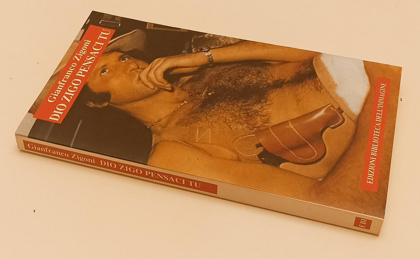 LN- DIO ZIGO PENSACI TU - ZIGONI - BIBLIOTECA DELL'IMMAGINE --- 2003 - B- XFS136