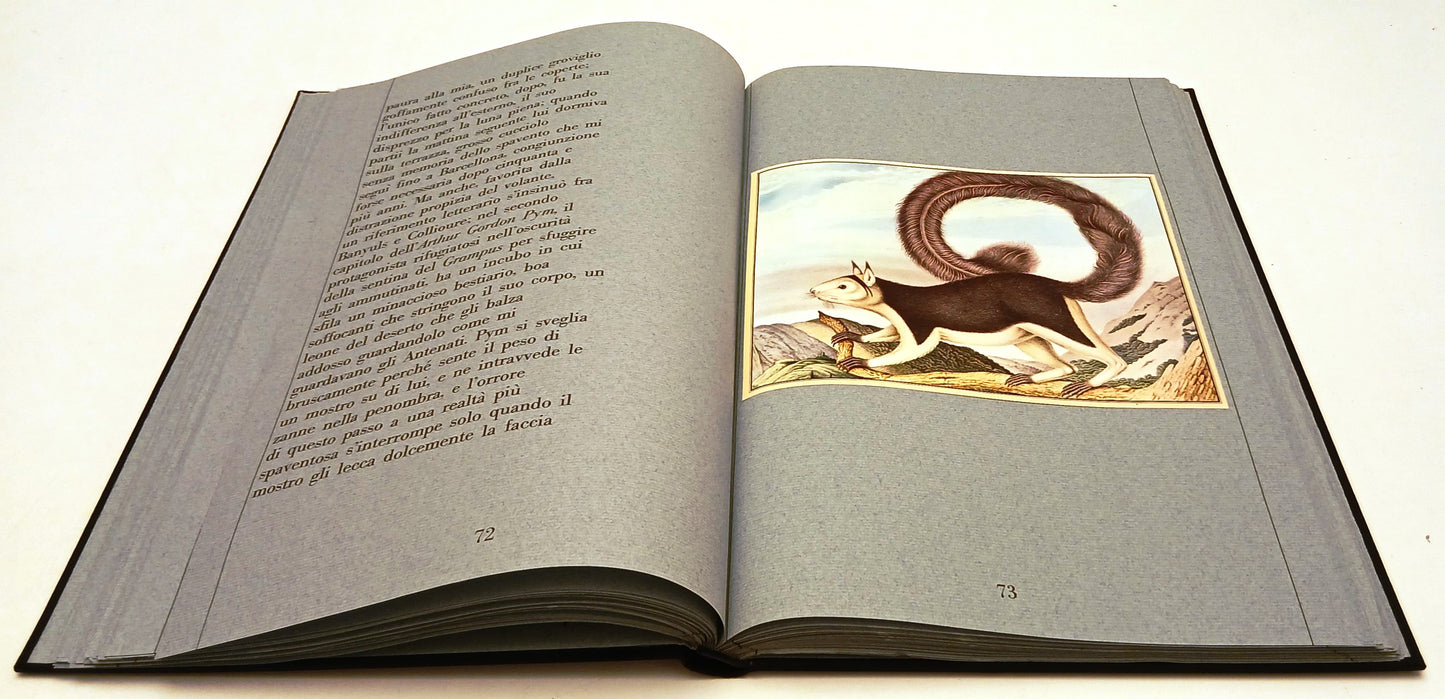 LT- IL BESTIARIO ALOYS ZOTL - CORTAZAR- FRANCO MARIA RICCI- SEGNI DELL'UOMO- XFS