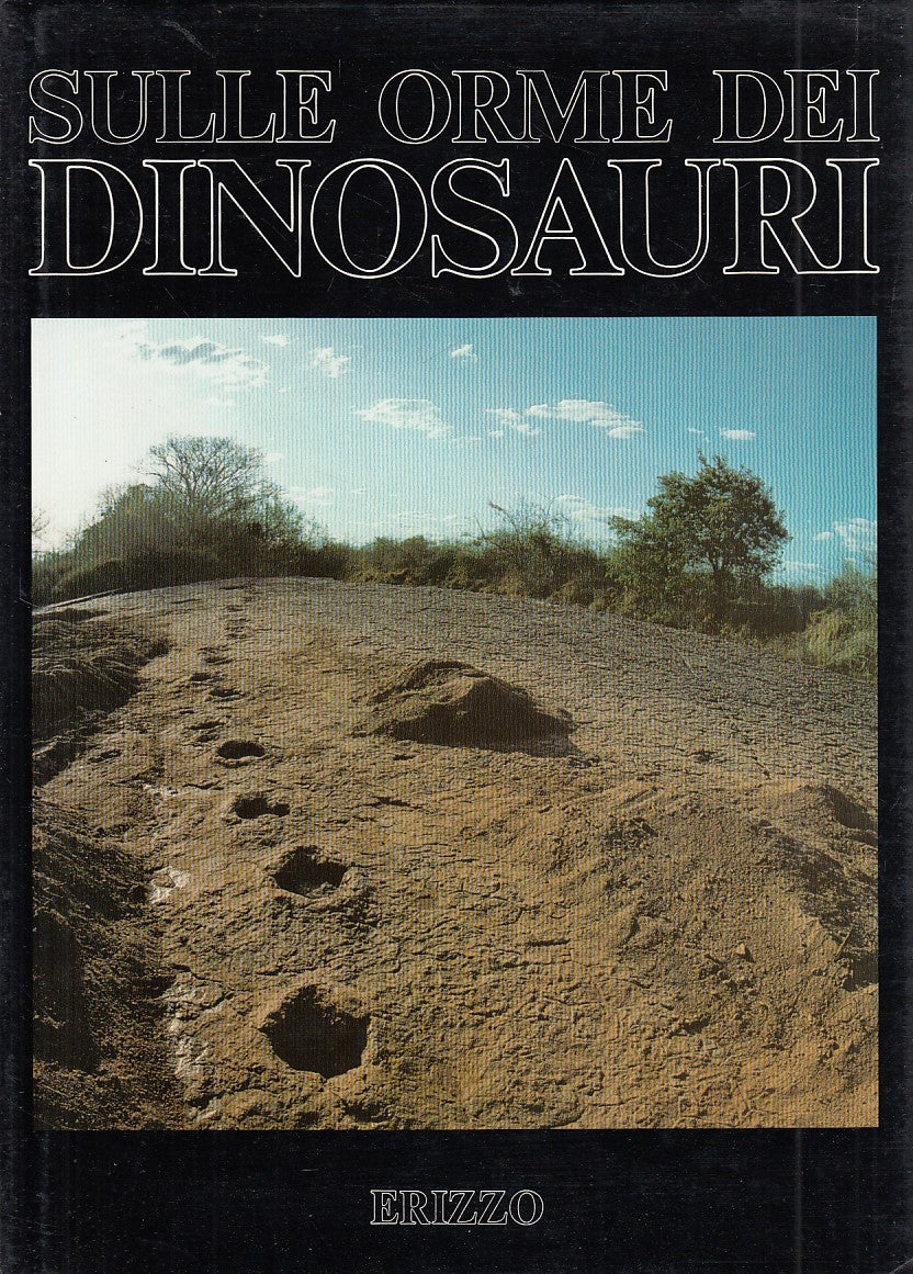 LZ- SULLE ORME DEI DINOSAURI-- ERIZZO- ESPLORAZIONI RICERCHE-- 1984- CS - ZDS557