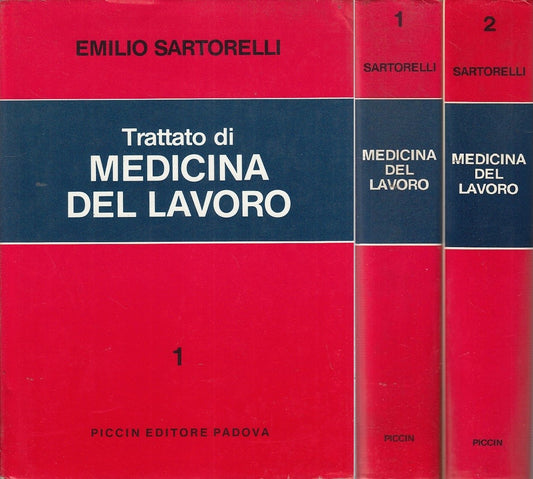 LZ- TRATTATO MEDICINA DEL LAVORO 2 VOL- SARTORELLI- PICCIN--- 1981- CS- YDS512