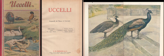 LB- UCCELLI ACQUARELLI - VACCARI - PARAVIA --- 1950 - C - RGZ