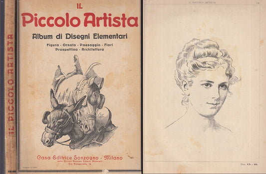 LB- PICCOLO ARTISTA ALBUM DISEGNI ELEMENTARI -- SONZOGNO --- 1928 - B - XDS130