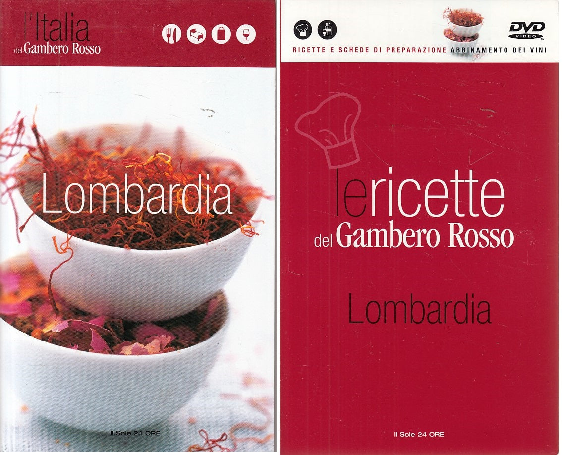 LV- ITALIA DEL GAMBERO ROSSO LOMBARDIA + DVD -- SOLE 24 ORE--- 2007 - B - YDS474