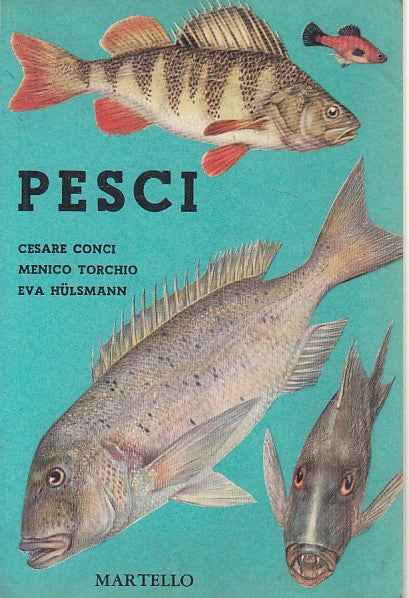 LZ- PESCI - CONCI TORCHIO - MARTELLO --- 1961 - B - ZDS65