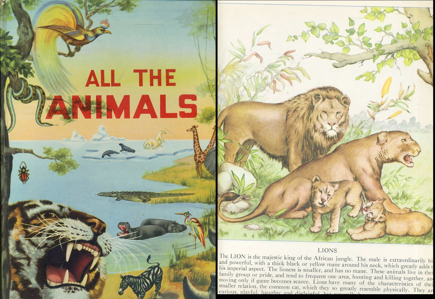 LB- ALL THE ANIMALS ILLUSTRATED- BRUNO TOMBA ALLEVI - PICCOLI--- 1959- C- ZFS368