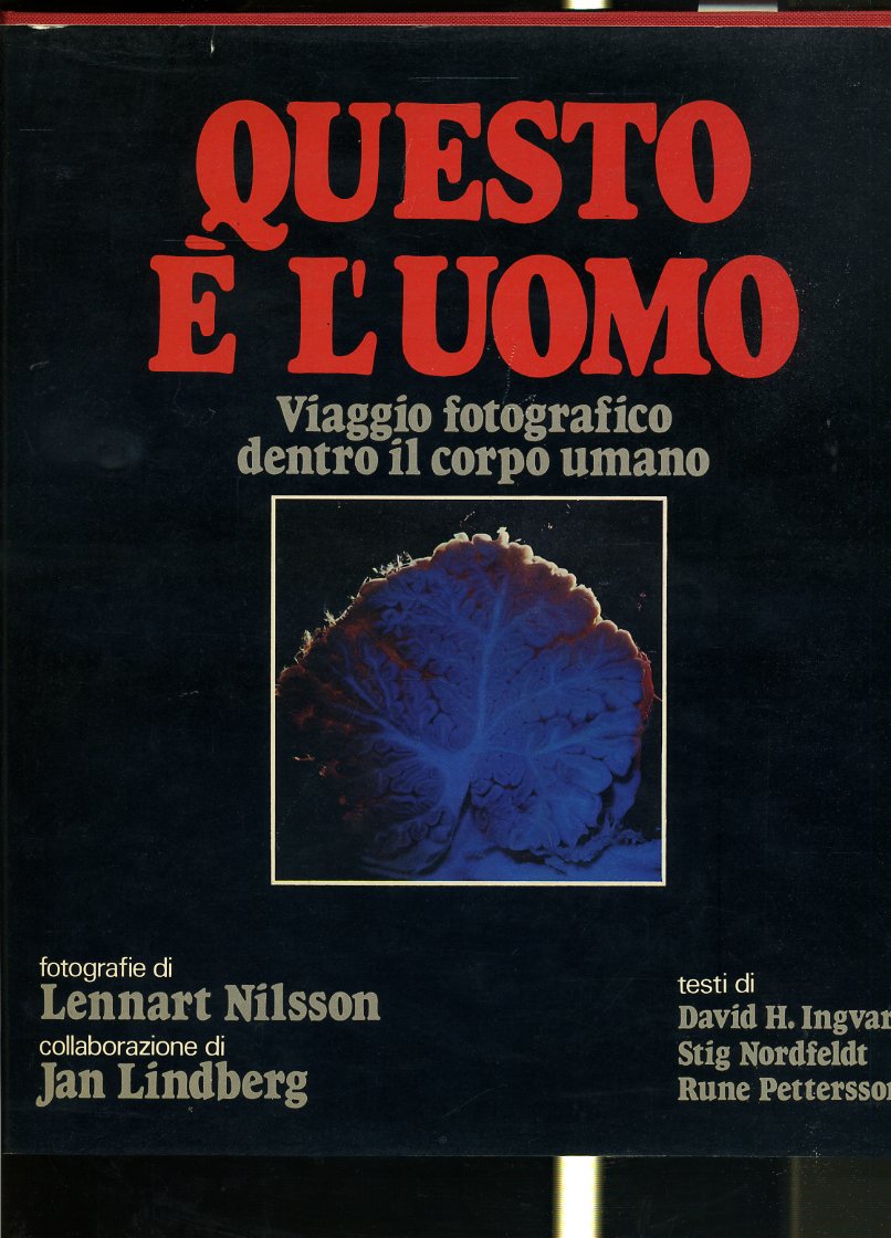 LZ- QUESTO E' L'UOMO - LENNART NILSSON - PAOLINE --- 1981 - CS - YFS244