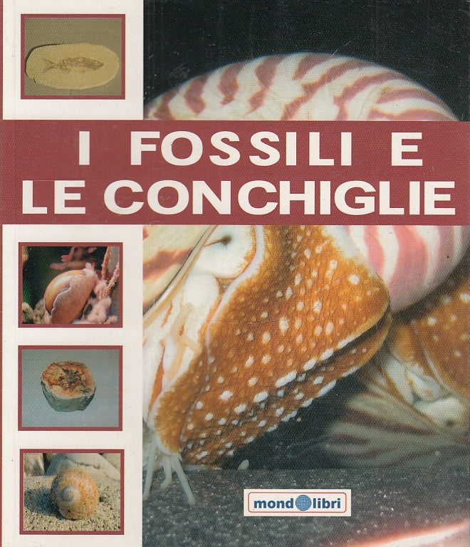 LZ- I FOSSILI E LE CONCHIGLIE -- MONDOLIBRI --- 2007 - B - ZFS632