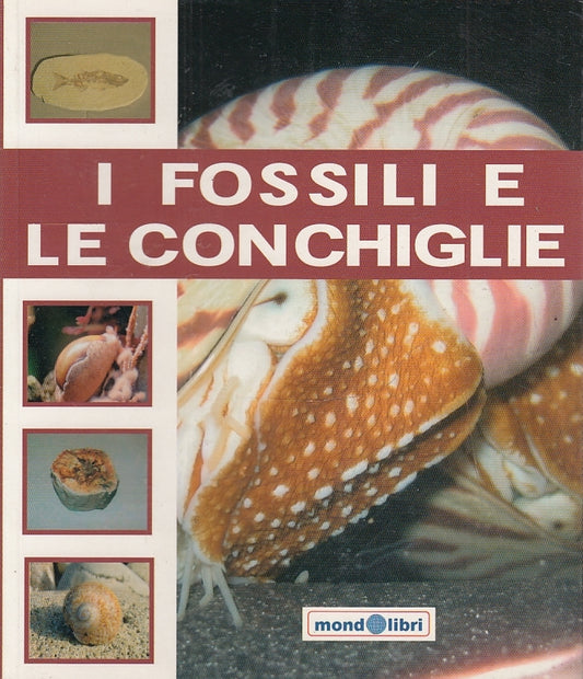 LZ- I FOSSILI E LE CONCHIGLIE -- MONDOLIBRI --- 2007 - B - ZFS632