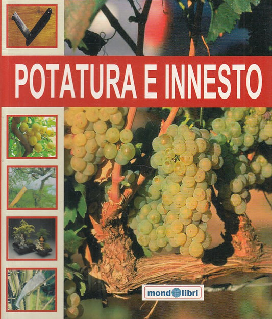 LZ- POTATURA E INNSETO -- MONDOLIBRI BOOKSTORE --- 2007 - B - YFS194