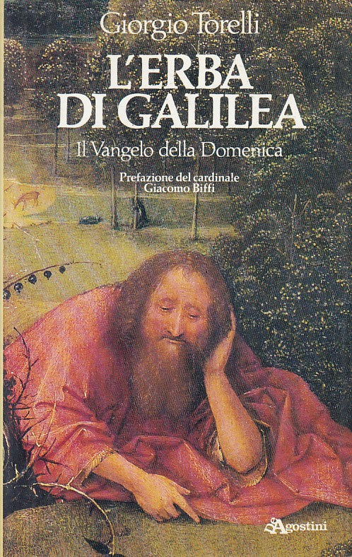 LS- L'ERBA DI GALILEA VANGELO DELLA DOMENICA-- DE AGOSTINI--- 1985 - CS - ZFS285