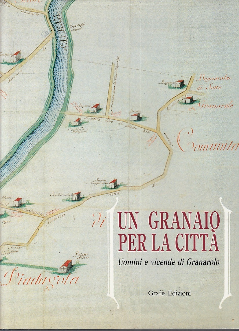 LZ- UN GRANAIO PER LA CITTA' VICENDE GRANAROLON-- GRAFIS --- 1989 - CS - ZFS378