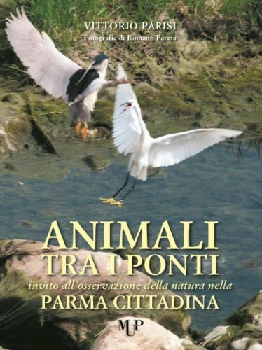 LZ- ANIMALI TRA I PONTI PARMA - VITTORIO PARISI - GRAFICHE STEP--- 2009-C- WPR