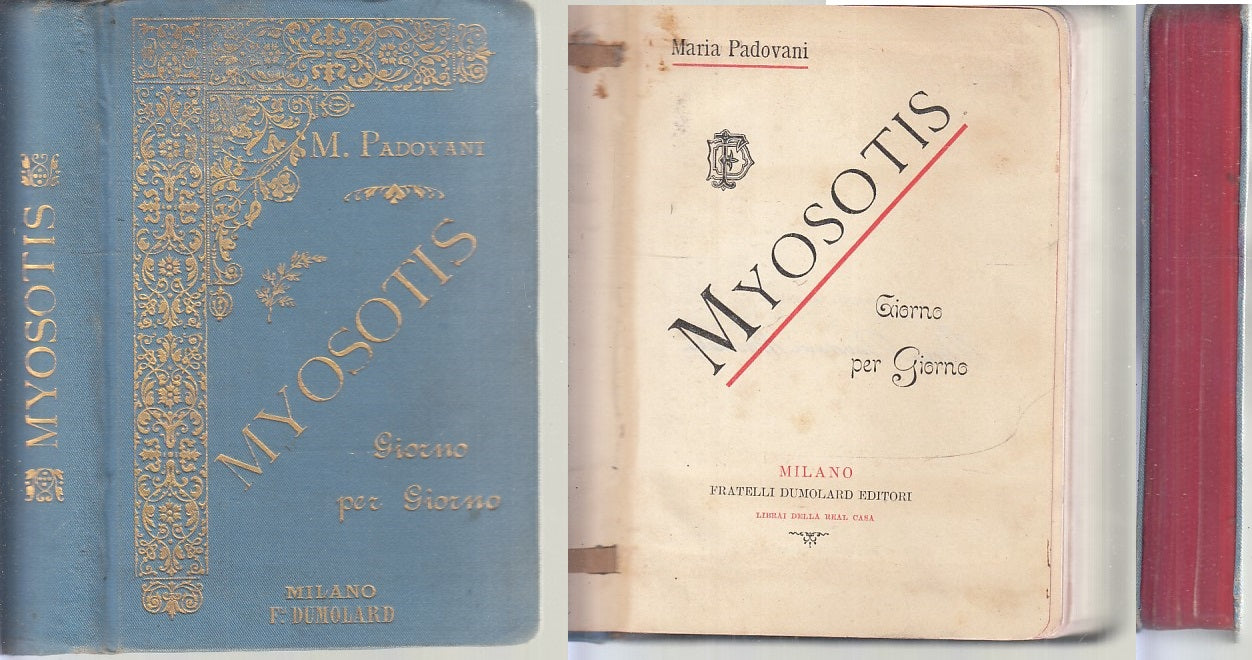 LZ- MYOSOTIS GIORNO PER GIORNO- MARIA PADOVANI- F.LLI DUMOLARD--- 1900- C- XFS79