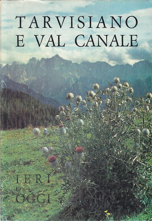 LS- TRAVISIANO E VAL CANALE IERI E OGGI-- ENTE TRE VENEZIE--- 1972 - BS - ZFS639