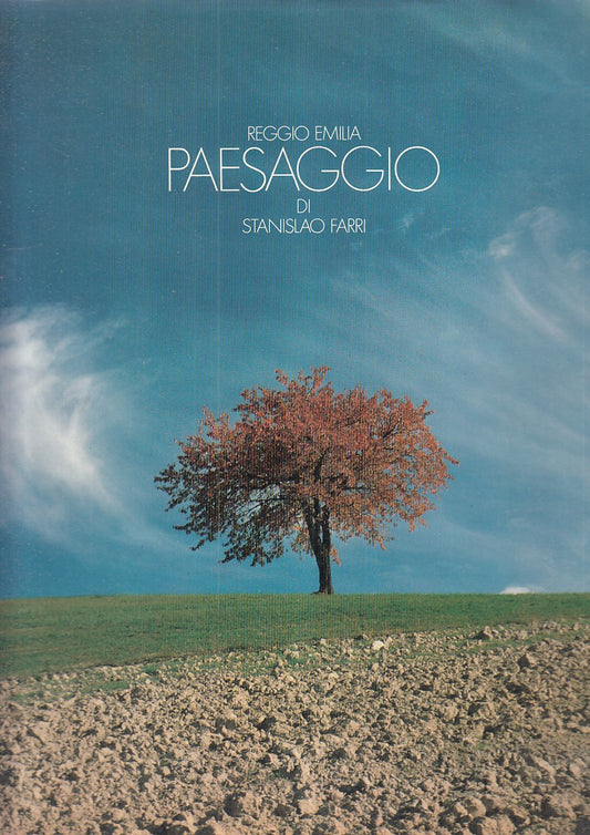 LZ- PAESAGGIO REGGIO EMILIA - STANISLAO FARRI - BIZZOCCHI --- 1979 - CS - YFS636