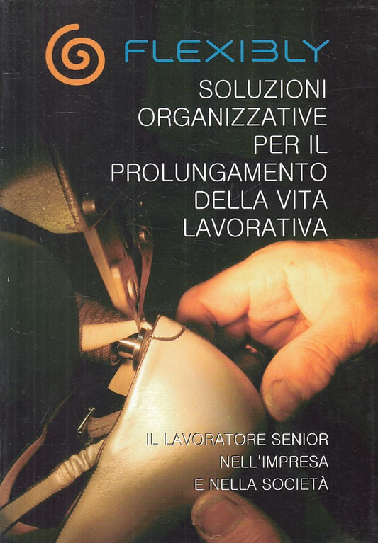 LS- SOLUZIONI PROLUNGAMENTO VITA LAVORATIVA -- FLEXIBLY --- 2009 - B - ZFS100