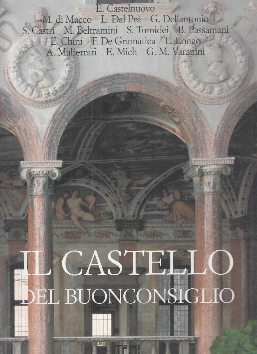 LS - IL CASTELLO DEL BUONCONSIGLIO- ENRICO CASTELNUOVO- TEMI--- 1996- CS- YDS361