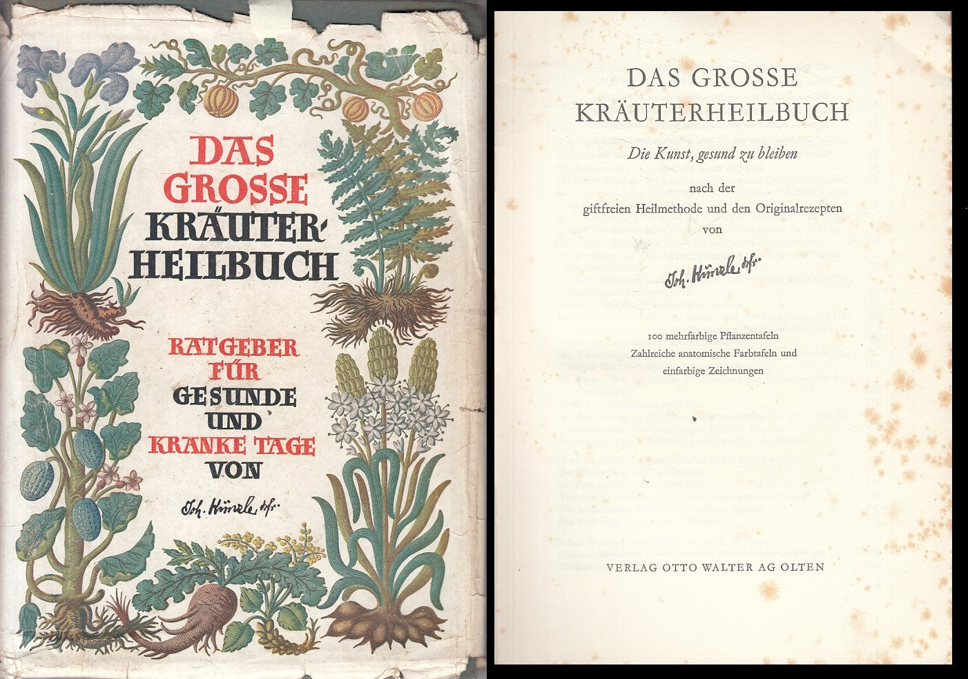 LZ- DASS GROSSE KRAUTERHEILBUCH IN TEDESCO- KUNZLE- WALTER--- 1945 - CS - YFS389