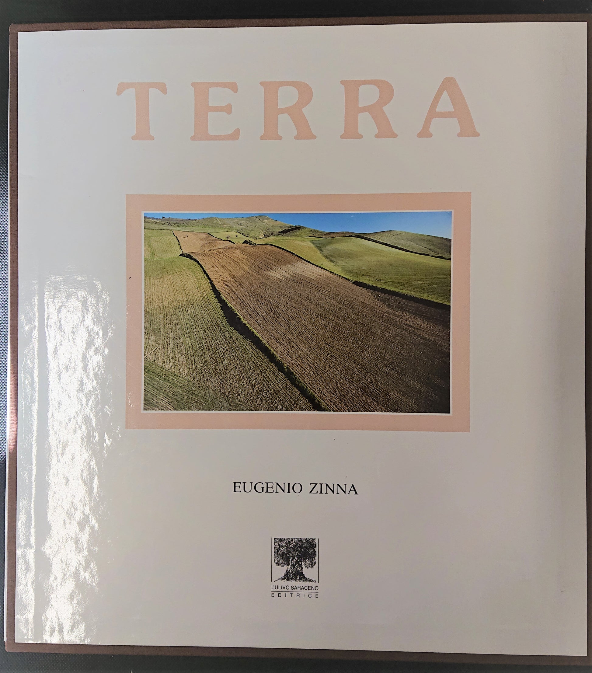 LZ- TERRA - EUGENIO ZINNA - L'ULIVO SARACENO --- 1992 - CS - YFS999