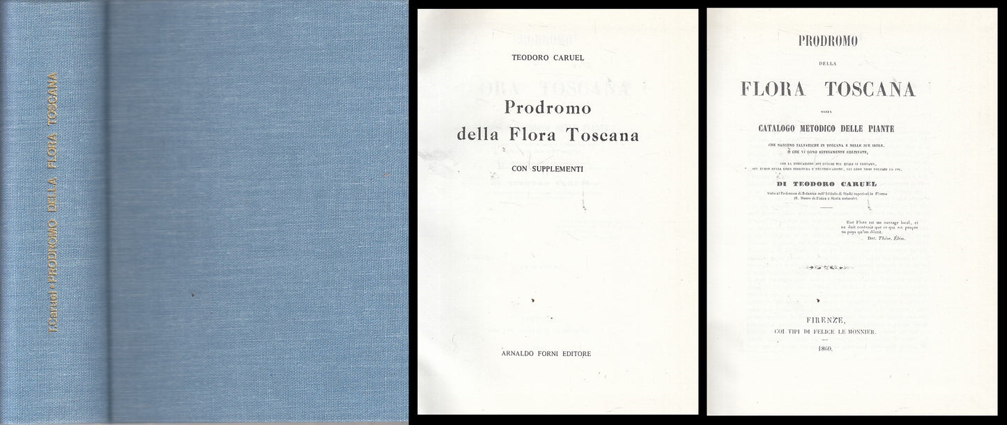 LZ- PRODROMO DELLA FLORA TOSCANA - CARUEL - FORNI - BOTANICA -- 1979 - C - ZFS74