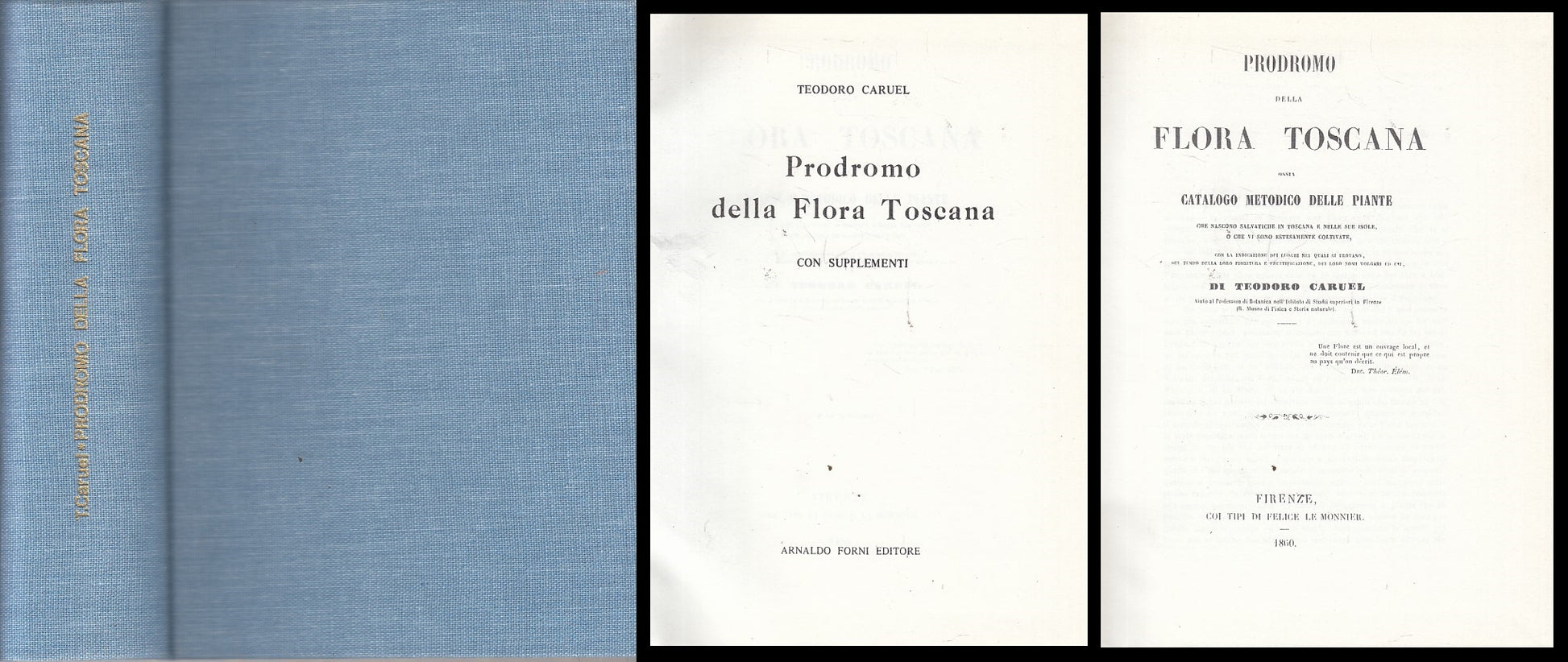 LZ- PRODROMO DELLA FLORA TOSCANA - CARUEL - FORNI - BOTANICA -- 1979 - C - ZFS74