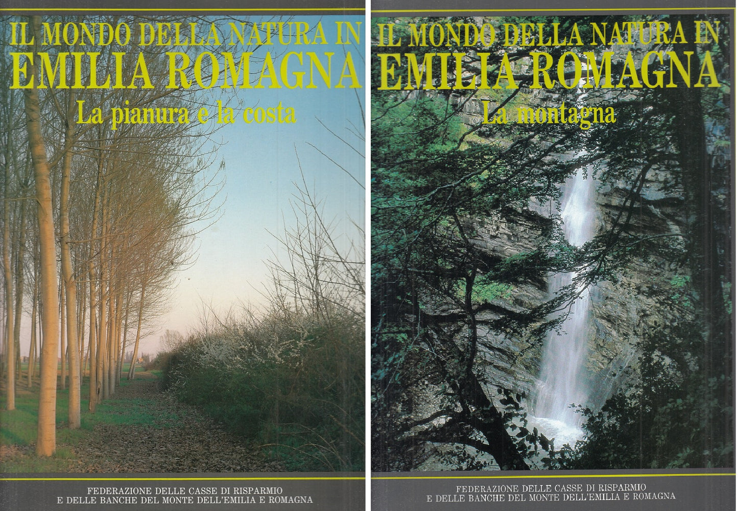 LZ- MONDO NATURA EMILIA ROMAGNA MONTAGNA PIANURA -- PIZZI --- 1989 - CS - YFS537