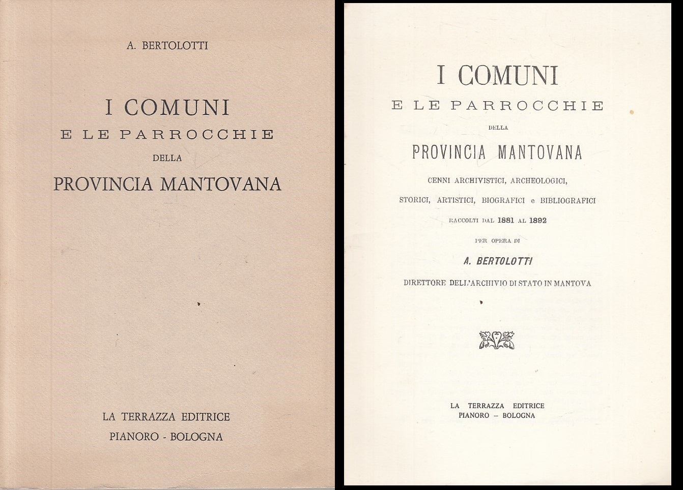 LS- I COMUNI E LE PARROCCHIE PROVINCIA MANTOVANA-- TERRAZZA--- 1974 - B - YFS381