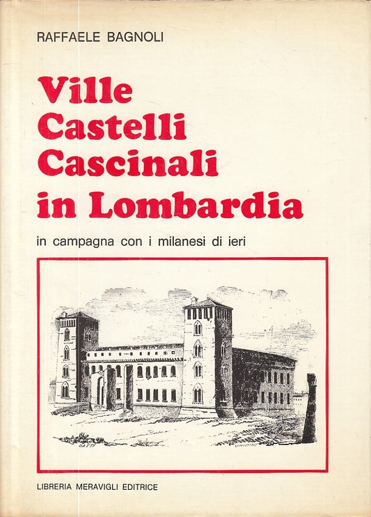 LZ- VILLE CASTELLI CASCINALI IN LOMBARDIA -- MERAVIGLI --- 1979 - CS - ZFS125