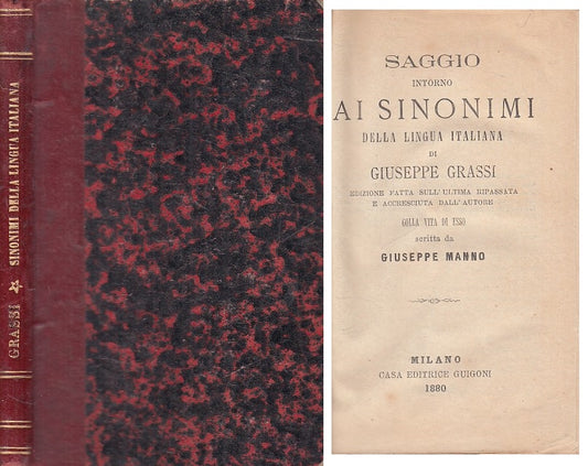 LS- SAGGIO SUI SINONIMI LINGUA ITALIANA - GRASSI - GUIGONI --- 1880 - C - YFS204