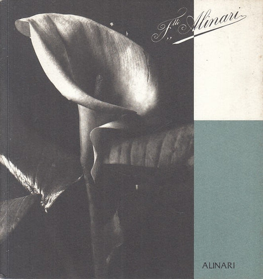 LS- LA FRATELLI ALINARI CATALOGO -- ALINARI FIRENZE --- 1992 - B - YFS43