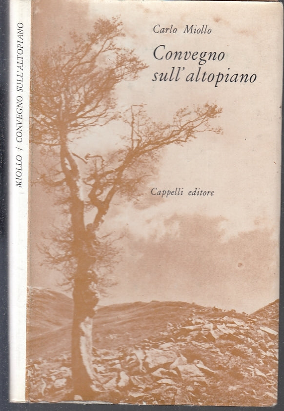 LS- CONVEGNO SULL'ALTOPIANO - CARLO MIOLLO - CAPPELLI EDITORE--- 1971 -- XFS133