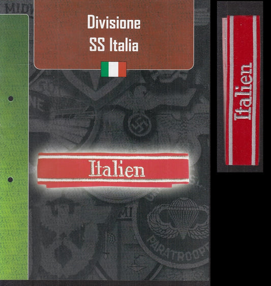 CM- DISTINTIVI MILITARI - GAGLIARDETTO WW2 - ITALIA - DIVISIONE SS ITALIA