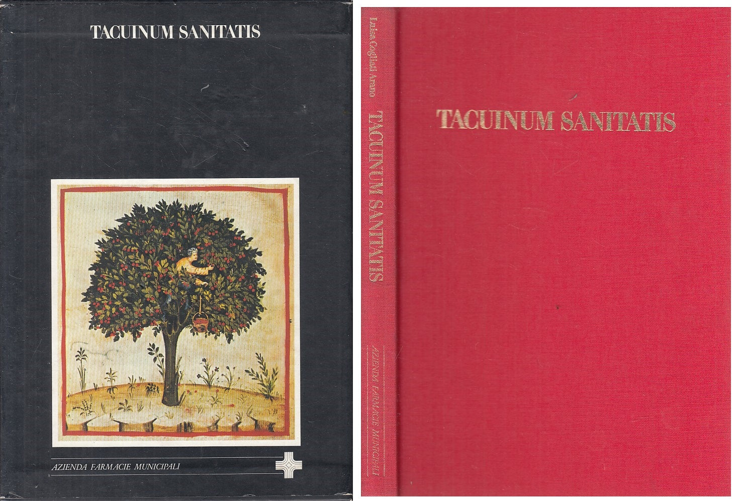 LS- TACUINUM SANITATIS - ARANO- AZIENDA FARMACIE MUNICIPALI--- 1988 - C - YFS174