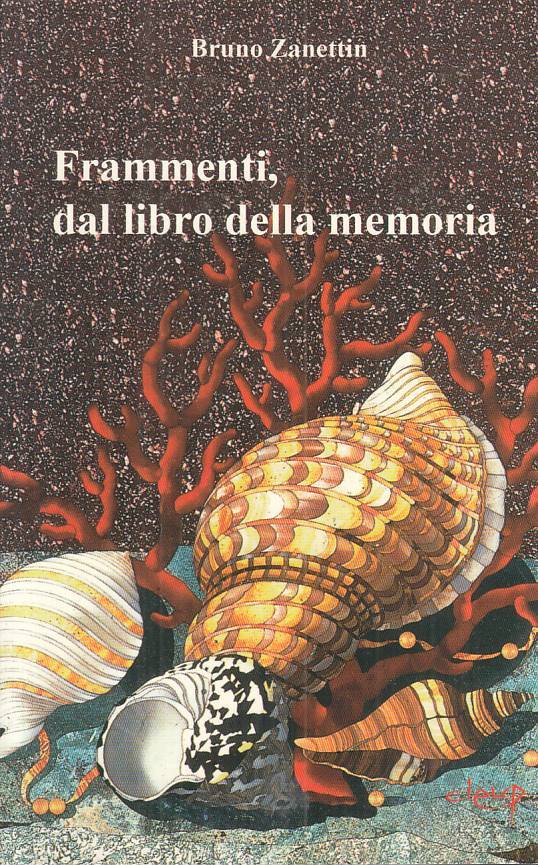 LS- FRAMMENTI, DAL LIBRO DELLA MEMORIA - ZANETTIN - CLEUP --- 2007 - B - ZFS409