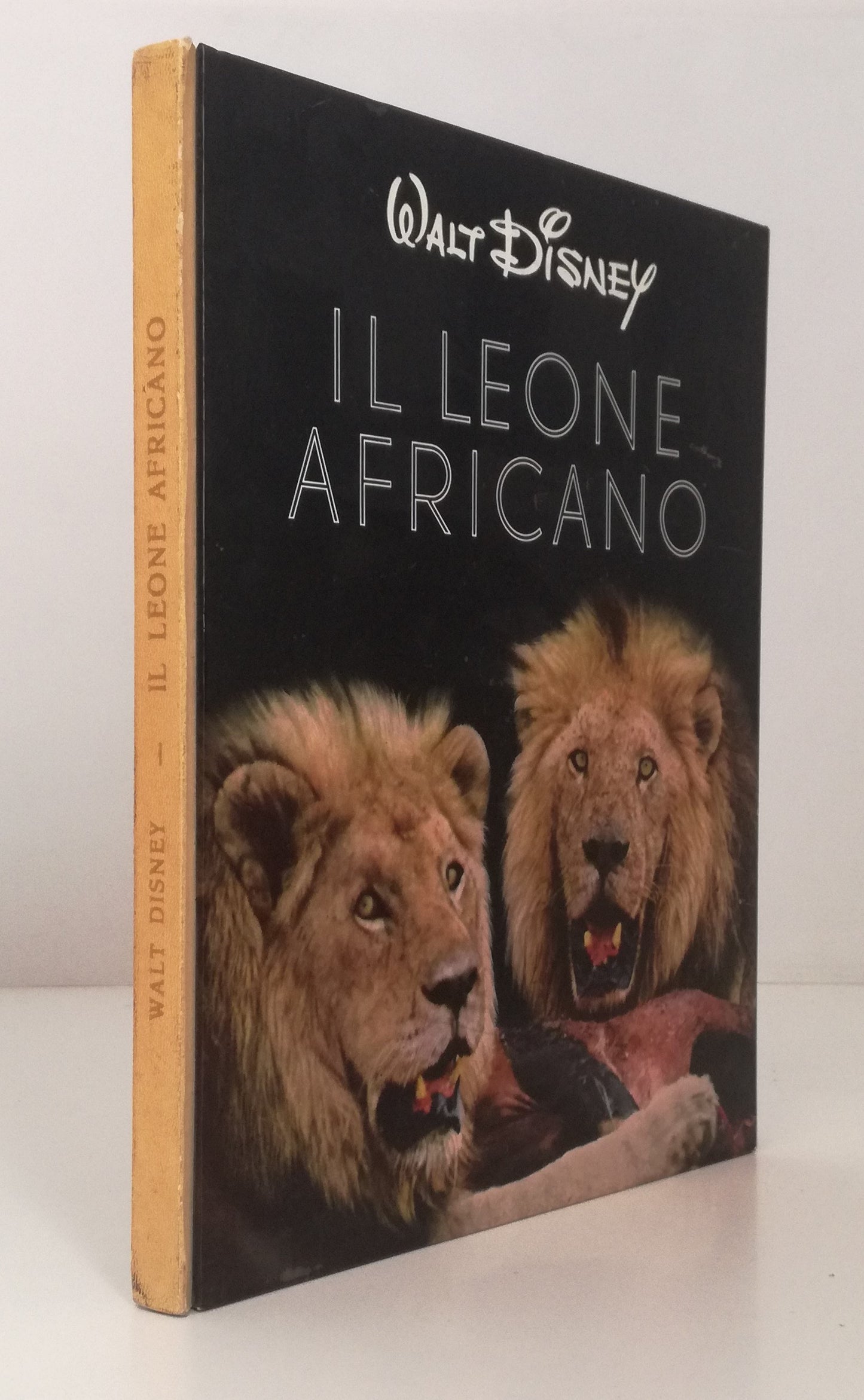 LB- IL LEONE AFRICANO-- WALT DISNEY- NATURA E SUE MERAVIGLIE 3-- 1956- C- YFS838