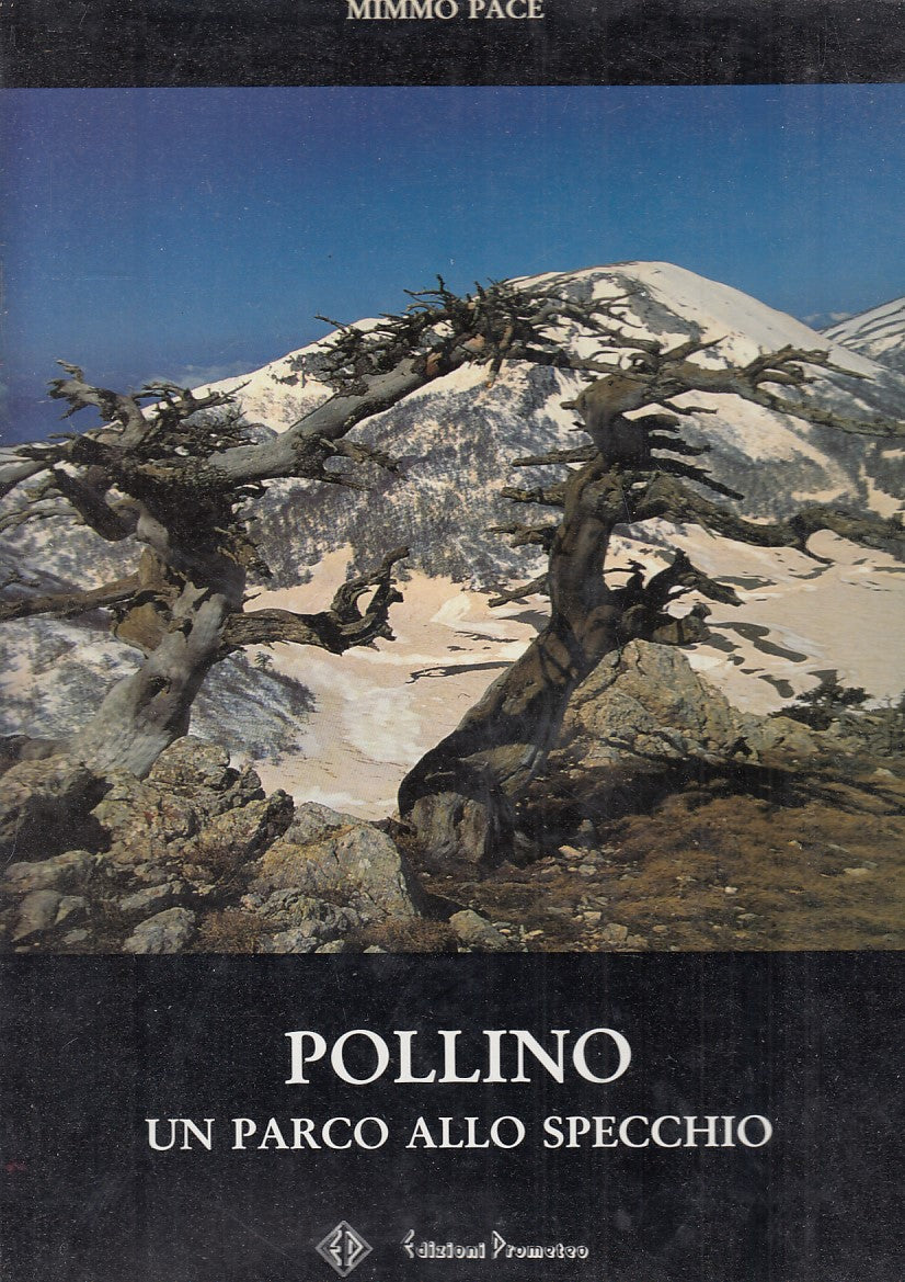 LV- POLLINO UN PARCO ALLO SPECCHIO - MIMMO PACE - PROMETEO --- 1992 - CS- ZFS697