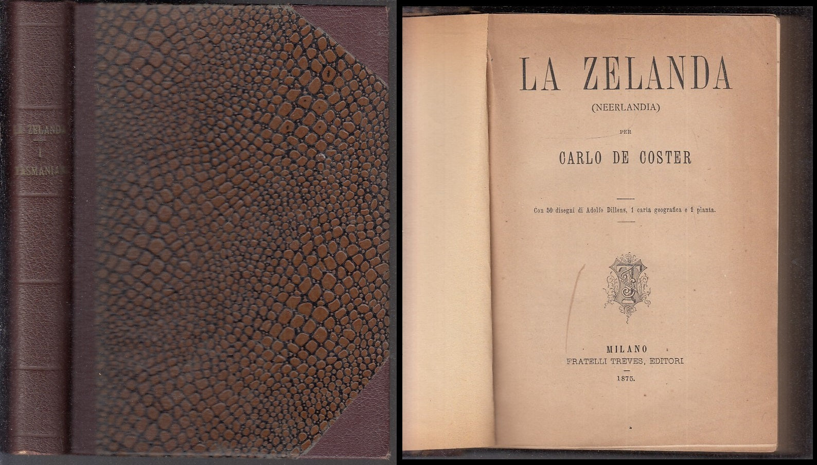 LV- LA ZELANDA NEERLANDA TASMANIANI- CARLO DE COSTER- TREVES--- 1875- C- ZFS245