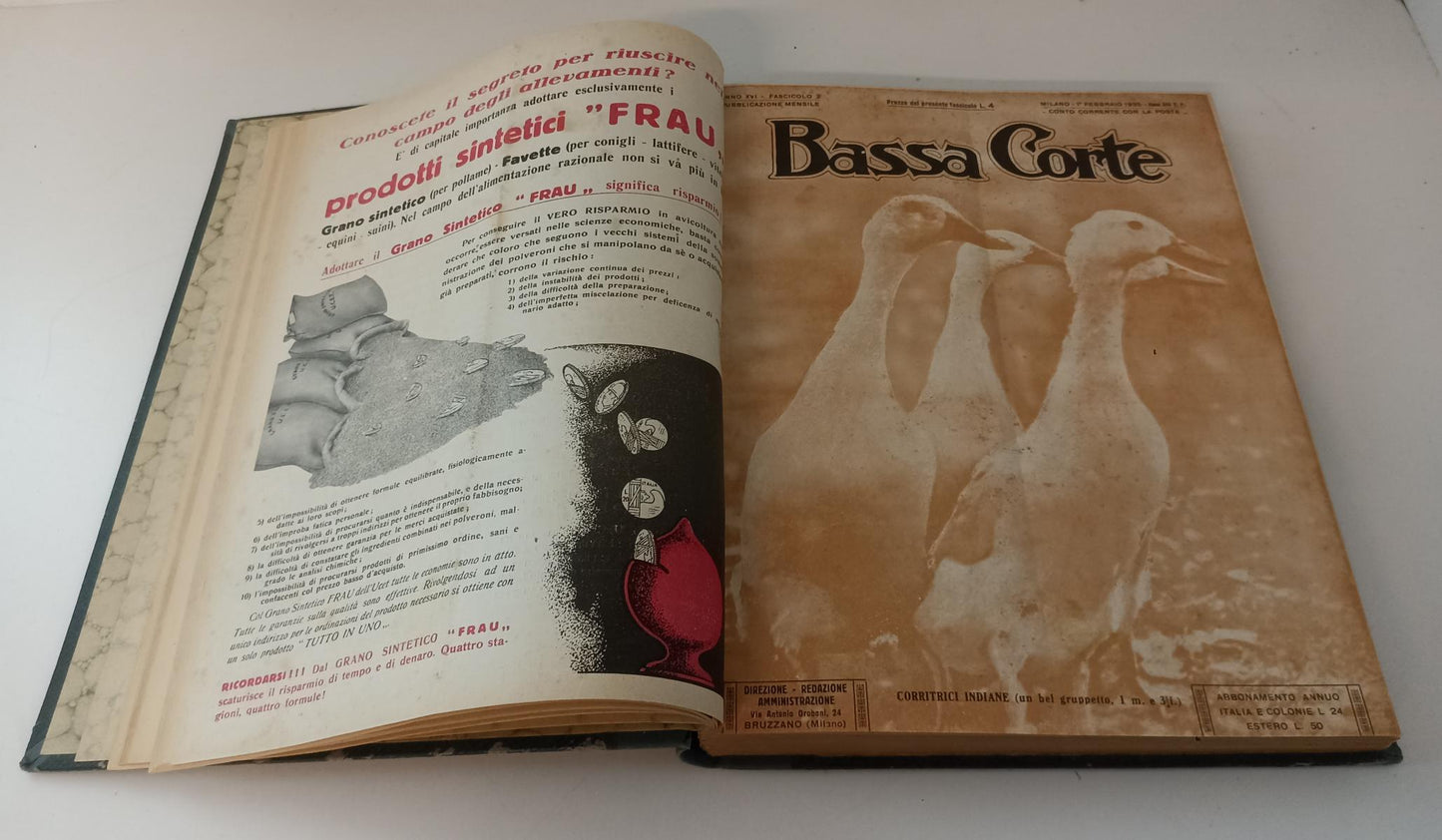 LR- RIVISTA ALLEVATORI D'ITALIA BASSA CORTE 1/11 1935 VOLUME RILEGATO- C- ZFS749