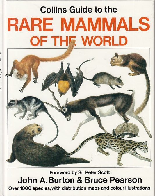 LZ- RARE MAMMALS OF THE WORLD GUIDE -- COLLINS --- 1987 - C - YDS414