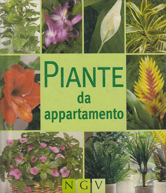 LZ- PIANTE DA APPARTAMENTO -- NGV --- 2005 - C - YFS426