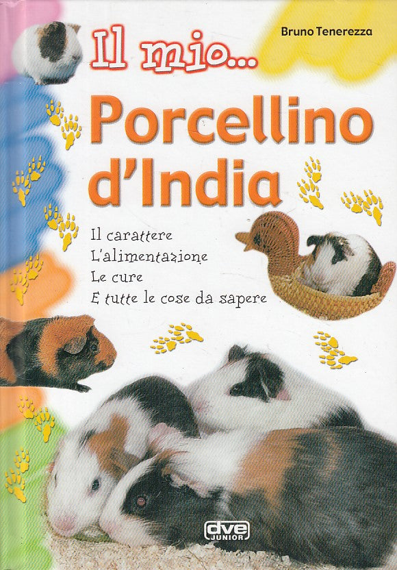 LZ- IL MIO PORCELLINO D'INDIA - TENEREZZA - DVE - JUNIOR -- 2005 - C - YFS500
