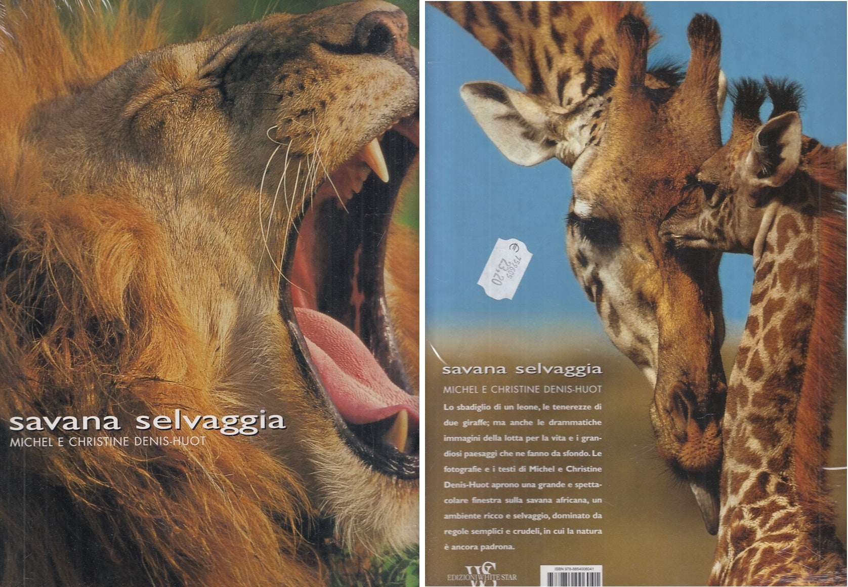 LZ- SAVANA SELVAGGIA - DENIS HOUT - NATIONAL GEOGRAPHIC --- 2007 - CS - YFS282