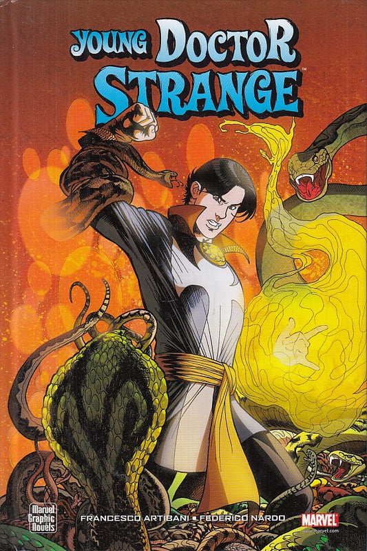 FS- YUOUNG DOCTOR STRANGE CARTONATO -- PANINI - 2010 - C - NMX133