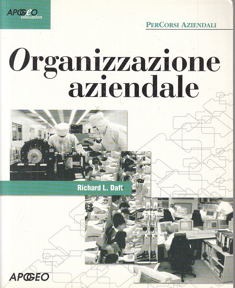 LZ- ORGANIZZAZIONE AZIENDALE - DAFT - APOGEO - PERCORSI -- 2001 - B - YFS205