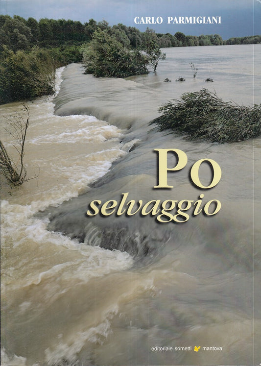 LZ- PO SELVAGGIO - CARLO PARMIGIANI - SOMETTI --- 2011 - B - YFS230