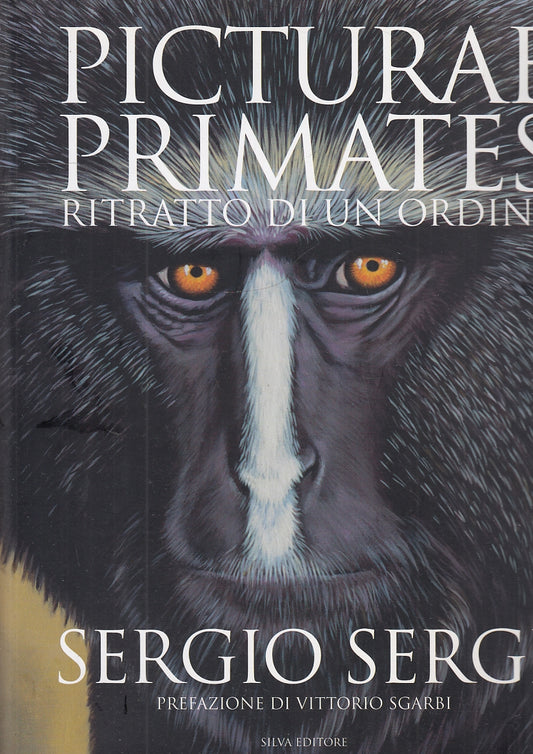 LZ- PICTURAE PRIMATES RITRATTO ORDINE- SERGIO SERGI- SILVA--- 2010- B- YDS351