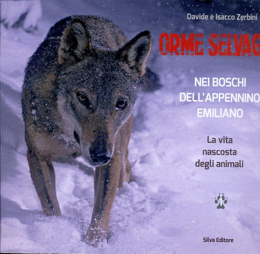 LZ- ORME SELVAGGE NEI BOSCHI APPENNINO EMILIANO- ZERBINI- SILVA--- 2015- B- WPR